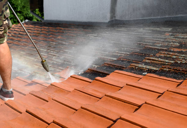 Why Choose Our Certified Pressure Washing Experts for Your Project Needs in Palm Bay, FL?